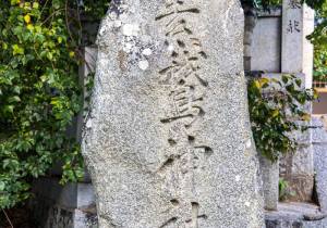 SBJ00726