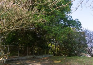 SBJ09626