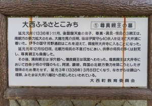 SBJ09635