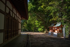 DSC09307