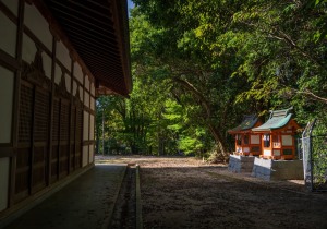 DSC09307