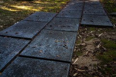 DSC09321