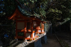 DSC09326