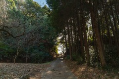 DSC09073