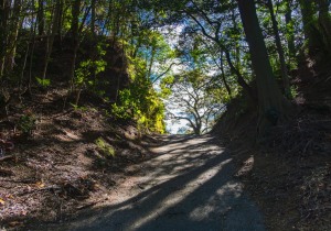 DSC09076