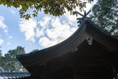 DSC09109