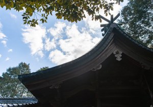 DSC09109