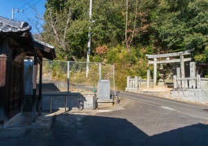 SBJ05455