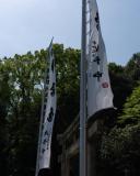 DSC01080