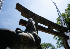 SBJ01101