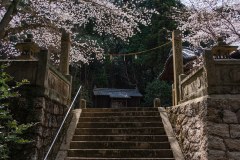 DSC02687