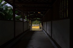 DSC06155