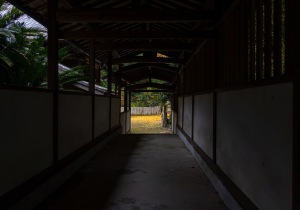 SBJ06155