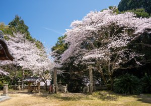 SBJ05348