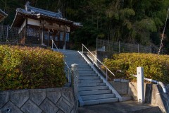 DSC06833