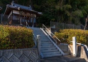 DSC06833