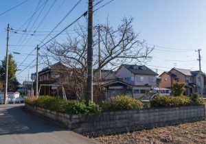 SBJ05536