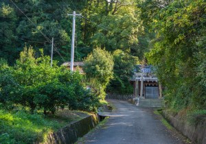 SBJ08419