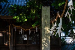 DSC07895