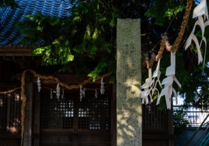 DSC07895