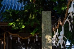 DSC07897