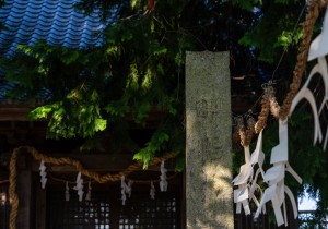 DSC07897