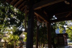 DSC07902