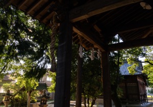 DSC07902