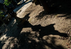 DSC07904