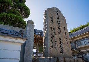 SBJ06323