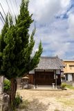 DSC08679