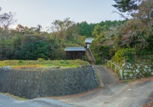 SBJ03709
