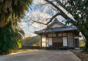 SBJ02196