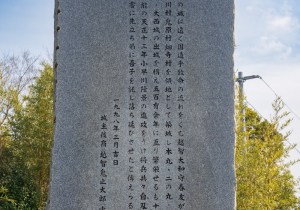 SBJ04064