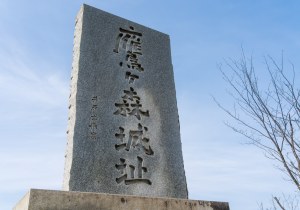 SBJ04071
