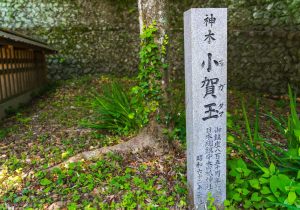 SBJ00021