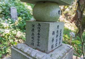 SBJ01279