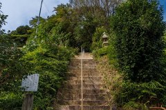 DSC00217