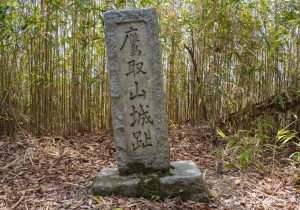 SBJ04027