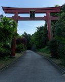 DSC00606-2