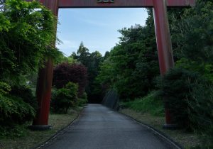 SBJ00606