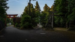 DSC00612