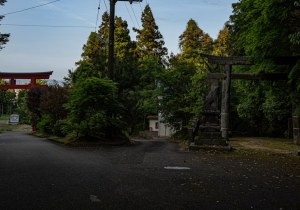 DSC00612