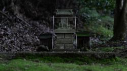 DSC00613
