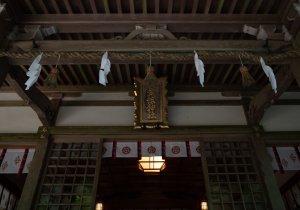SBJ01555