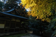 DSC04630