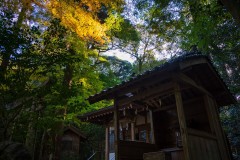 DSC04706