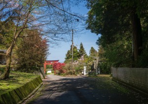 SBJ06095