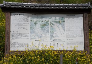 SBJ03762