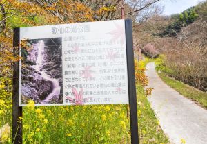 SBJ03764